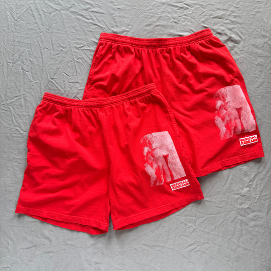 EMERGENT shorts