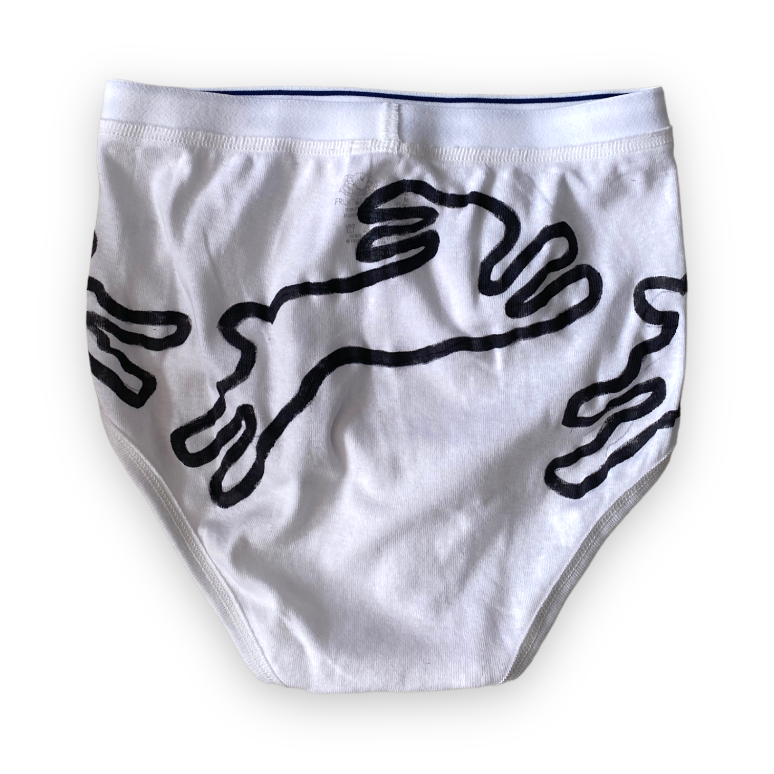 LEAPING RABBITS painted briefs