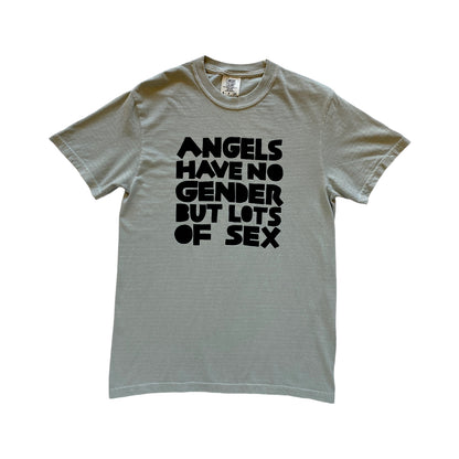 light green t-shirt with black text reading Angels have no gender but lots of sex