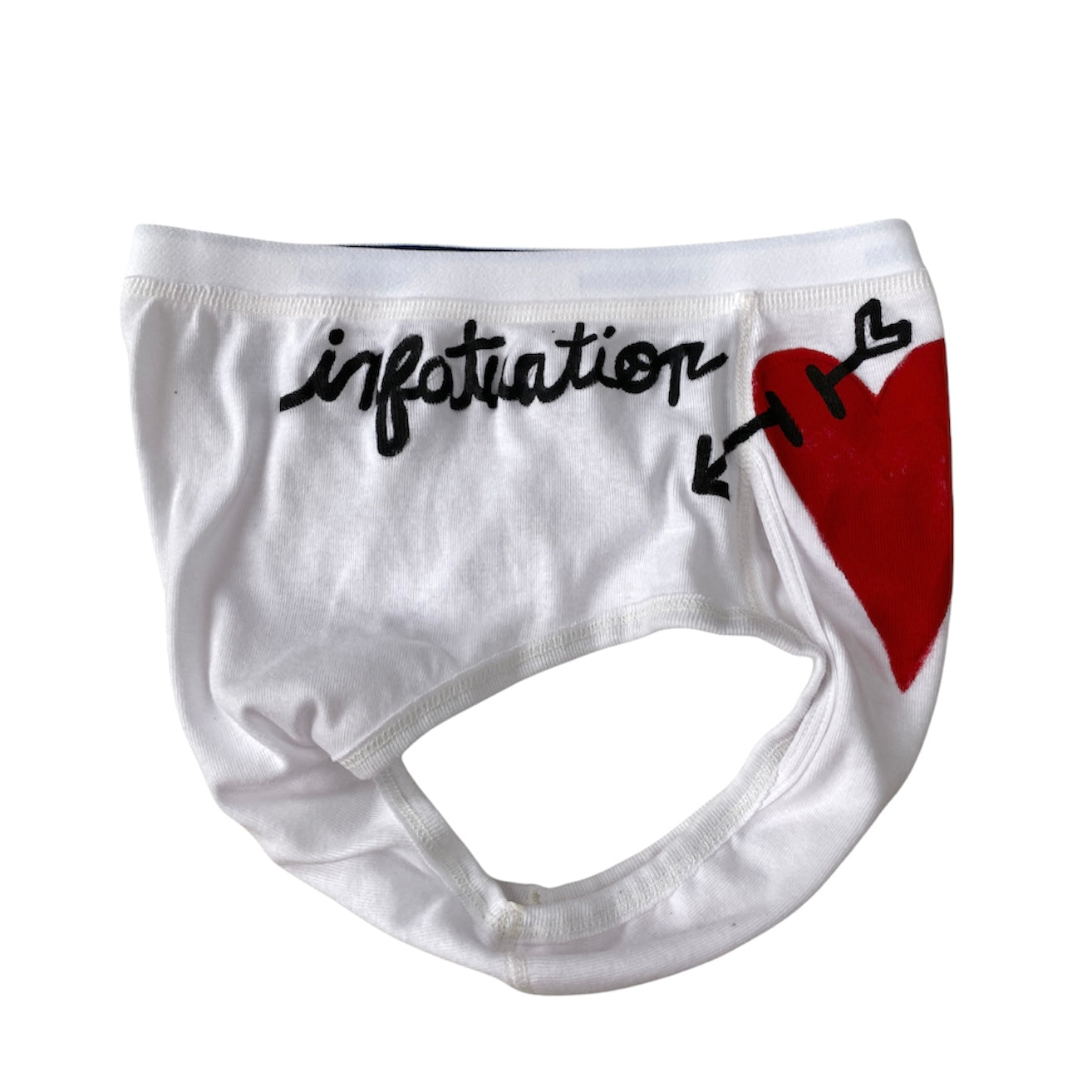 INFATUATION briefs